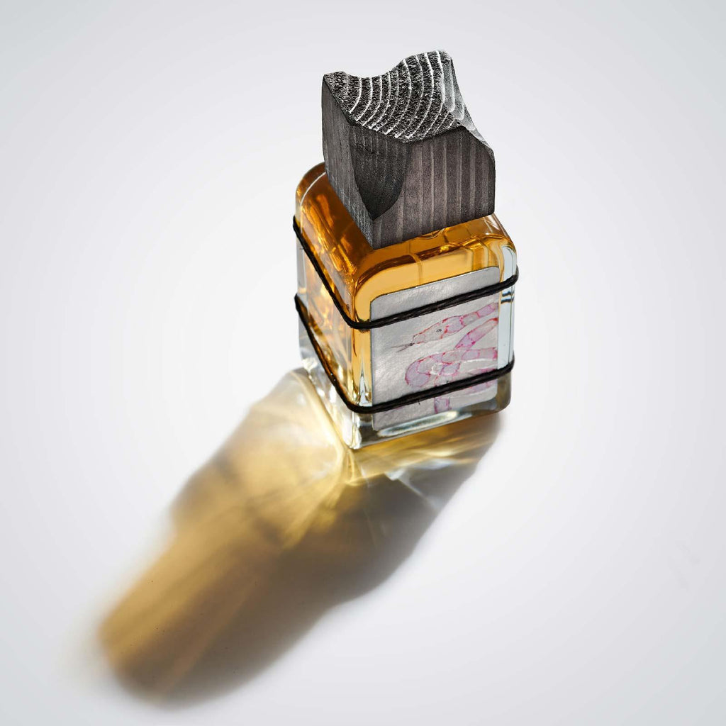 Orlo - 3