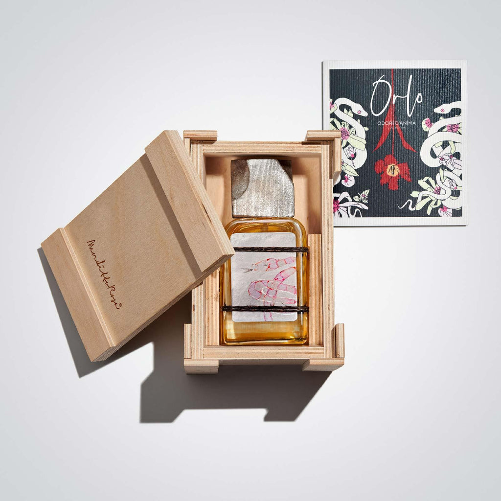 Orlo - 2